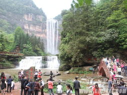 三八 節(jié)人氣旺 四面山提前迎來旅游旺季