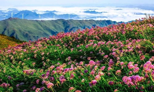 國慶豪華版拼假攻略 請6休16 這些重點景區(qū)門票要降價了,約起