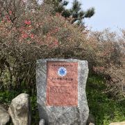 麻城龜峰山游玩-龜峰山門票多少錢/價(jià)格表-團(tuán)購(gòu)票價(jià)預(yù)定優(yōu)惠-景點(diǎn)地址在哪里/圖片介紹/參觀預(yù)約/旅游游覽順序及注意事項(xiàng)/營(yíng)業(yè)時(shí)間-【攜程】