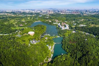 草地露營、國潮音樂節(jié)、少兒音樂匯 南京珍珠泉度假區(qū)假期精彩紛呈，盡顯卓越園區(qū)管理服務(wù)