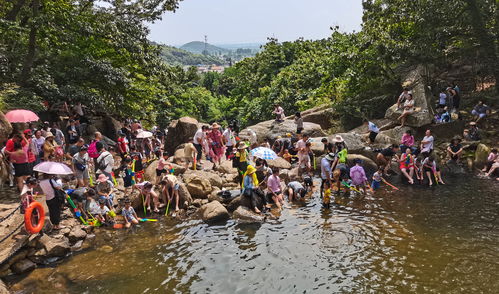 連云港市云臺(tái)山風(fēng)景名勝區(qū) 精細(xì)化園區(qū)管理服務(wù)，繪就山海文旅新畫卷